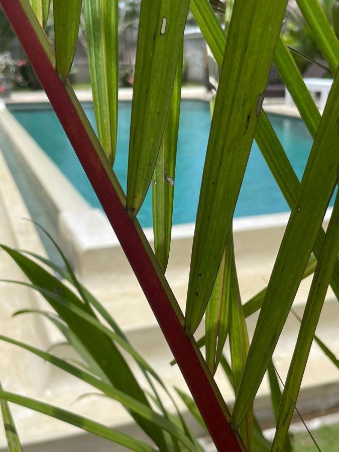 Hola Lofts Villa Uluwatu  Luaran gambar